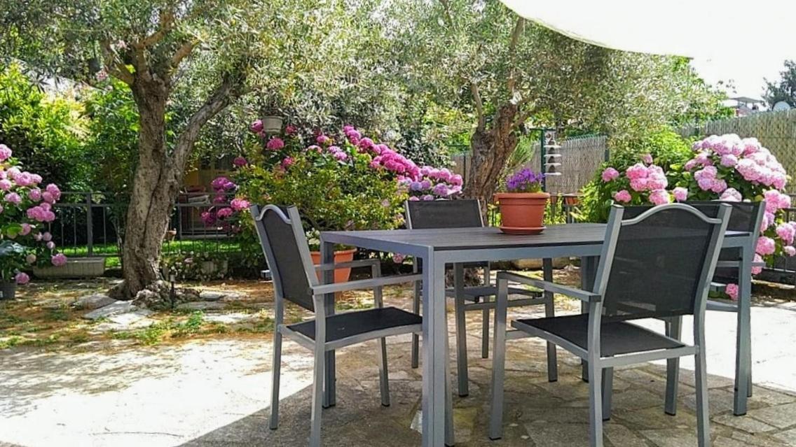 A Casa Di Leda Apartment Sarzana Exterior photo